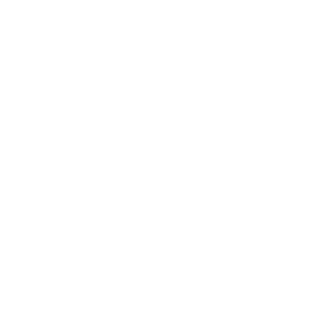 Conseil avant projet