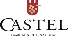 Logo castel