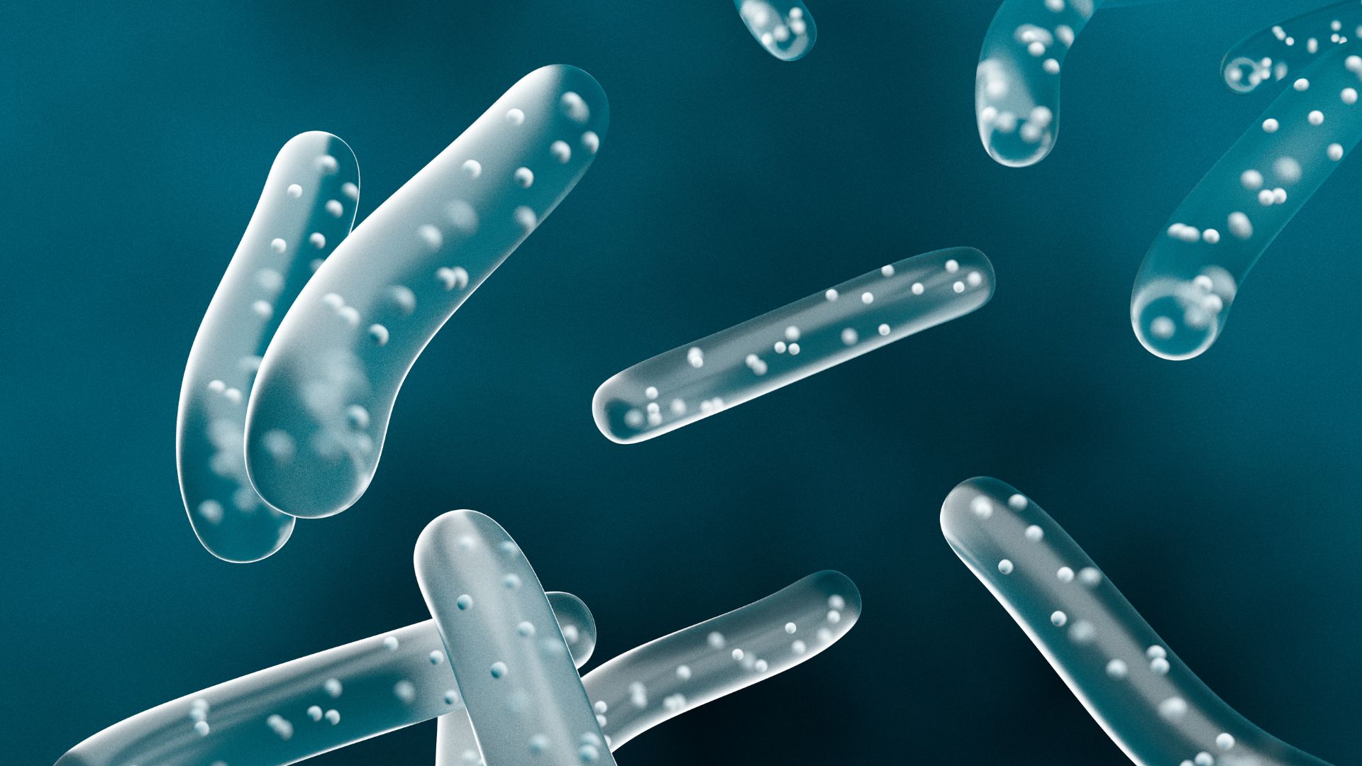 bactéries dans l’eau
